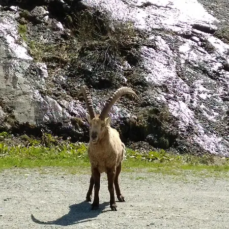 Walser A 13 Kms Chamonix France